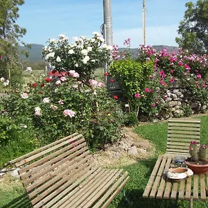 Il Vecchioliveto Di Ornella Bed & Breakfast Marrùbiu
